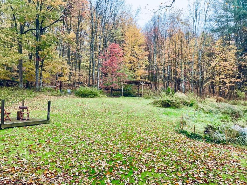 Cozy Cottage With Jacuzzi And Fire Pit And Reading Nook! Livingston Manor Exterior foto